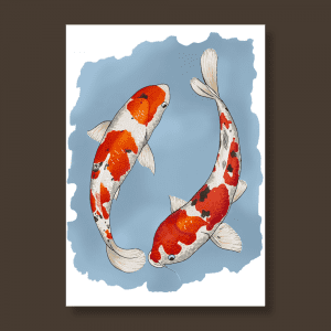 Koi Fish